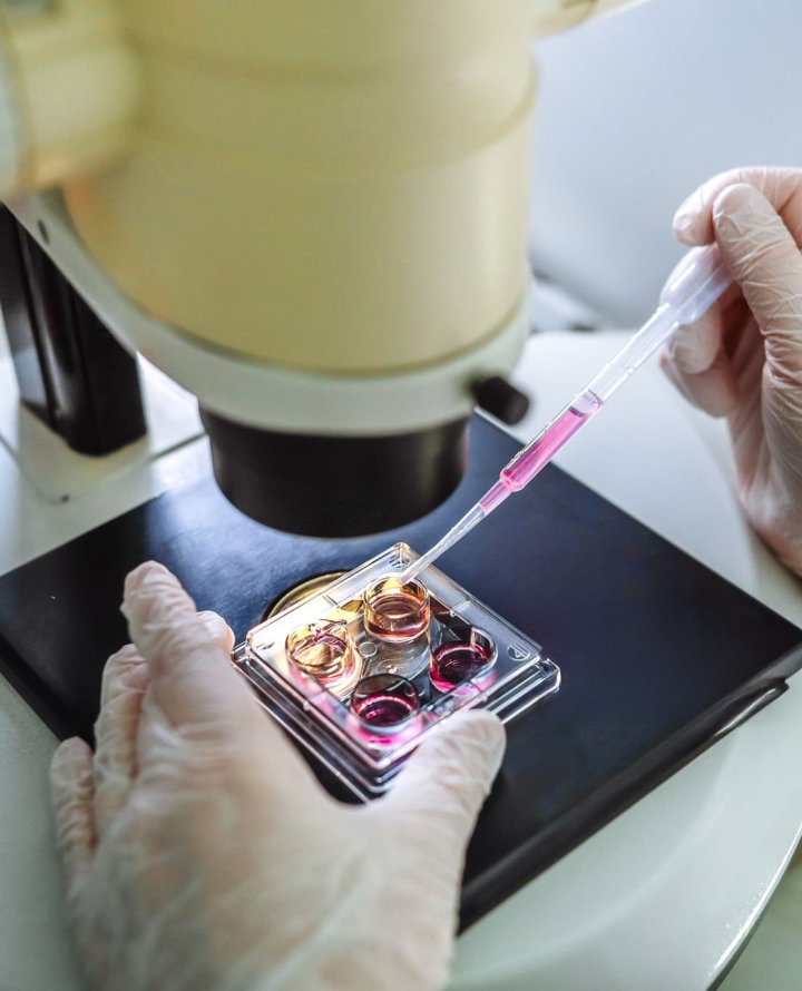 Sample onder een microscoop